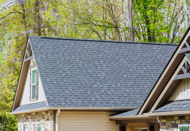 Best Asphalt Shingles Roofing  in Polo, IL